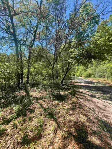 161 Royal Oaks Ct, Crawfordville, FL 32327 - photo 3