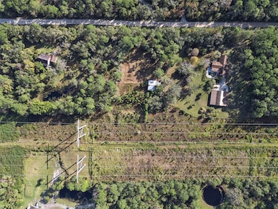 0 Brigham Loop, Geneva, FL 32732 - photo 5