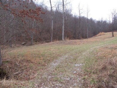 0 Big Barn Rd unit 560132, Tyner, KY 40486 - photo 3