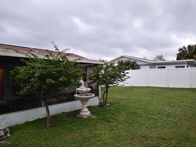Back yard