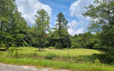 0 E 38th St unit 134290, Tifton, GA 31794 - photo 3