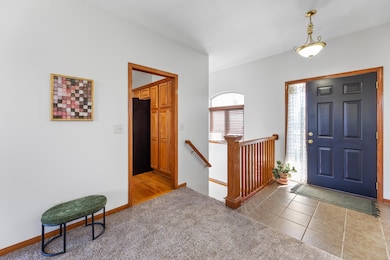 Carpeted foyer with tile patterned flooring and baseboards