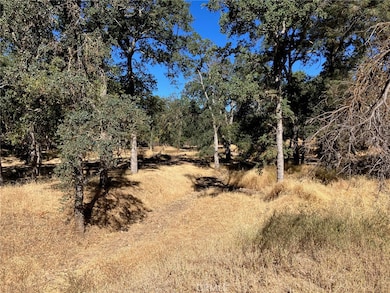 16108 36th Ave, Clear Lake, CA 95422 - photo 3