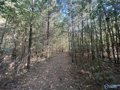 Tract 1 Williams Rd, Athens, AL 35614 - photo 6