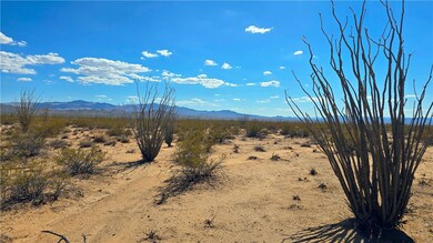 3135 W Desert Candle, Yucca, AZ 86438 - photo 4