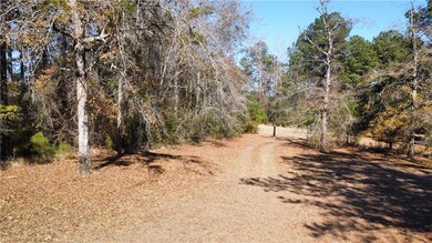 12860 Old Citronelle Rd, Chunchula, AL 36521 - photo 3