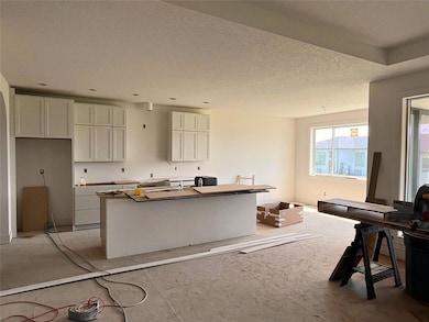 18048 Tanglewood Dr, Clive, IA 50325 - photo 6