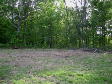 Site where Cabin Burned Still has Footing