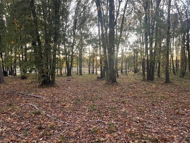 L 336 Deep Water Cove, Corsicana, TX 75109 - photo 3