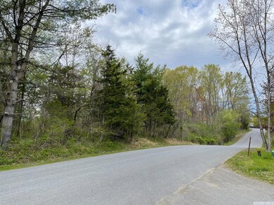 45 Randy Rd, Coxsackie, NY 12015 - photo 4