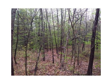 Land/Lot.