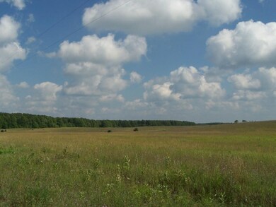 Beautiful open country