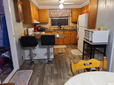 2100 Grape St, Harrisburg, IL 62946 - photo 5