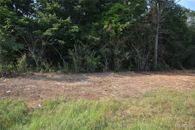 22877 Highway 84, Elba, AL 36323 - photo 2