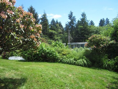 Front yard