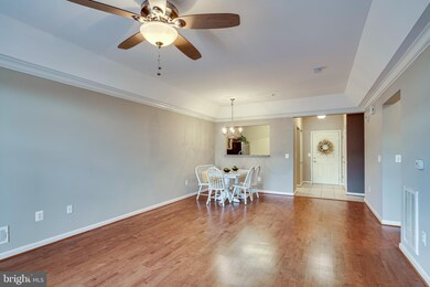 7315 Brookview Rd unit 208, Elkridge, MD 21075 - photo 4