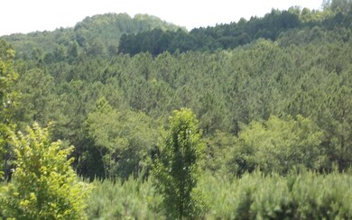 Additional View