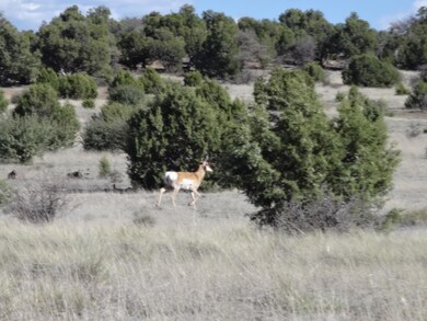 0 Tbd unit 304-11-016E 205653, White Mountain Lake, AZ 85912 - photo 2