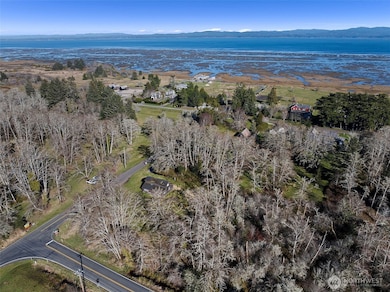 3212 Oysterville Rd, Oysterville, WA 98641 - photo 2