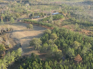 5150 Cr 405, Branford, FL 32008 - photo 5