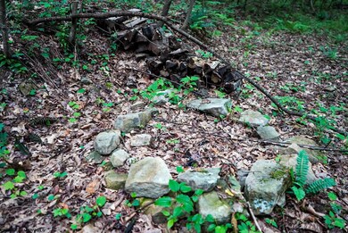 Lot 130 Laurel Loop, Bruceton Mills, WV 26525 - photo 5