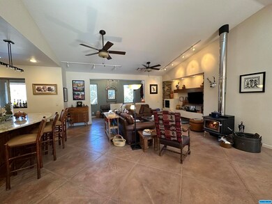 15 Euphoria Rd, Silver City, NM 88061 - photo 5