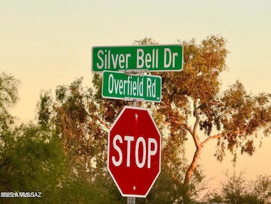 TBD Silver Bell Rd Lot #1 4 67 Ac, Casa Grande, AZ 85193 - photo 4