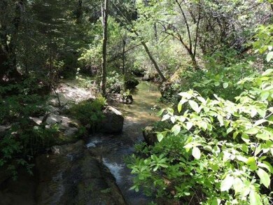 Berry Creek flowing through parcel