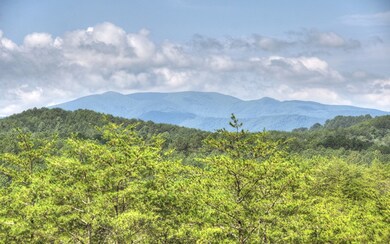 Additional View