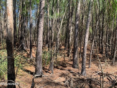 24 Bailey Pointe Rd, Belhaven, NC 27810 - photo 4