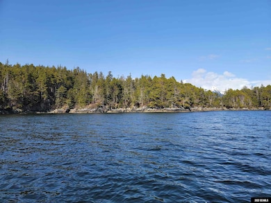 NHN: C-2RB Long Island, Sitka, AK 99835 - photo 3