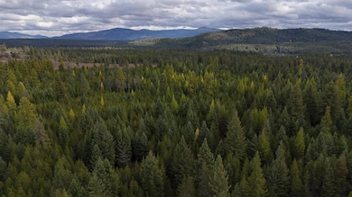 14506 Moonlight Ln, Newport, WA 99156 - photo 4