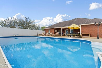 Stunning custom 18x36 salt water pool