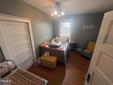 116 Elizabeth St, Bristol, TN 37620 - photo 7