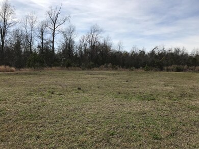 508 Boneset Park Dr, Holly Ridge, NC 28445 - photo 2