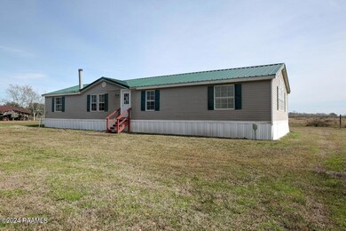 13421Pecan-3 Large