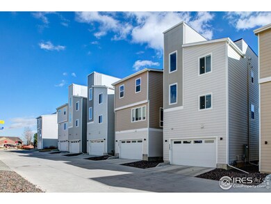 5383 Quail St, Arvada, CO 80002 - photo 3