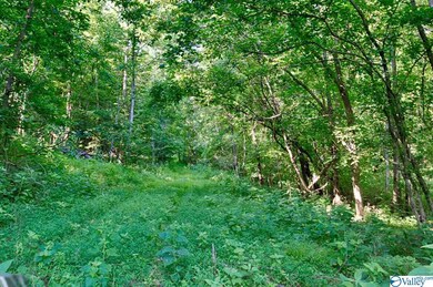 0 Shoal Creek Rd unit 1148561, Goodspring, TN 38460 - photo 4