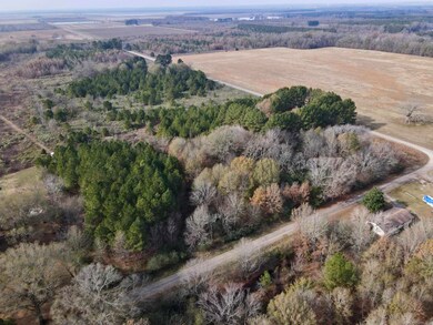 000 S Waller Rd, Bald Knob, AR 72010 - photo 4