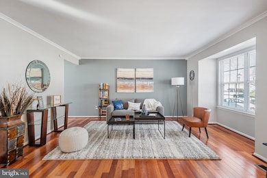 4609 John St, Suitland, MD 20746 - photo 2