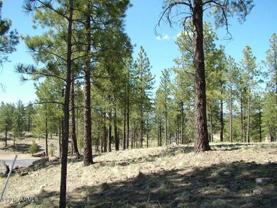 Lot 52