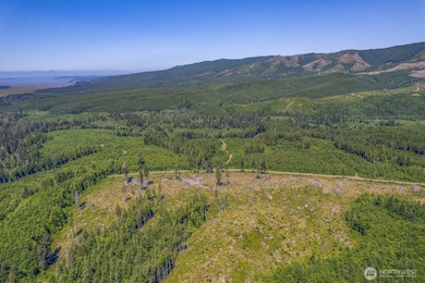 0 Walberg Rd unit NWM2397686, Chinook, WA 98614 - photo 2