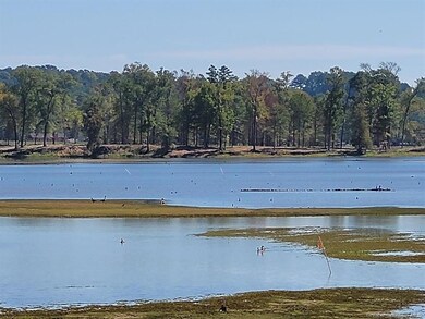 0 Paige Lee Ln unit SWL25100445, Many, LA 71449 - photo 7