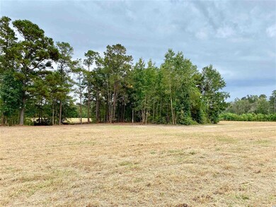 TBD Wise Farm Rd unit Parcel C, Aynor, SC 29511 - photo 3