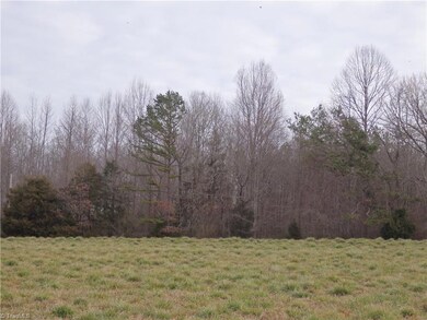 0 Piney Ridge Church Rd, Seagrove, NC 27341 - photo 3