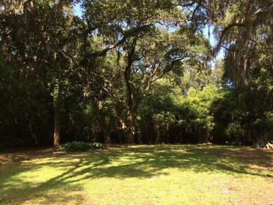 Lovely tree canopy