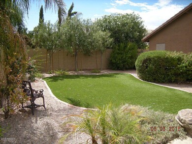 Backyard - Art. Turf