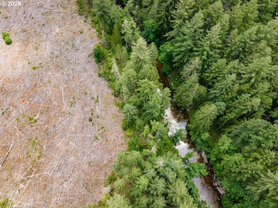 0 Sharps Creek Rd, Dorena, OR 97434 - photo 3
