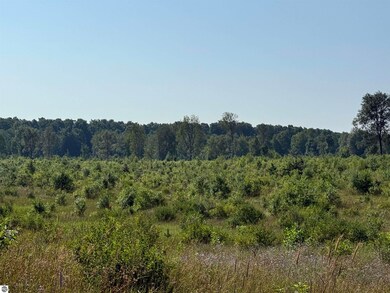 Parcel A1 E Kasson Rd, Maple City, MI 49664 - photo 5