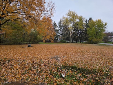 4234 Watkins Rd, Norton, OH 44203 - photo 4